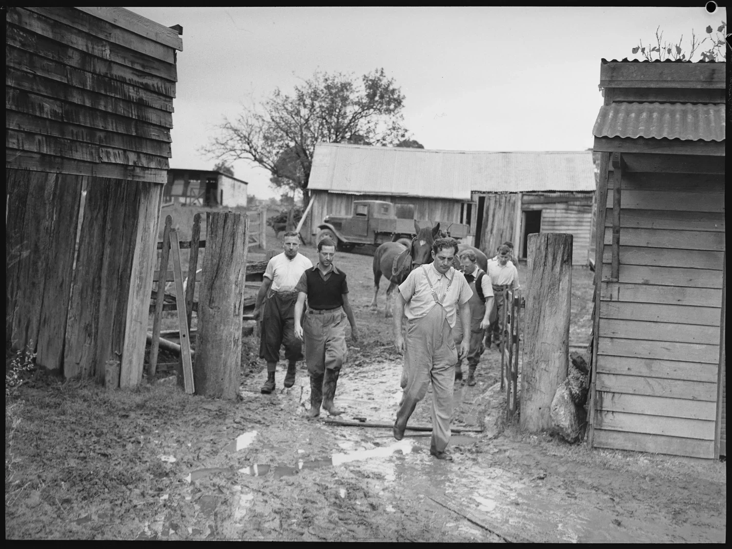 Chelsea Farm homestead